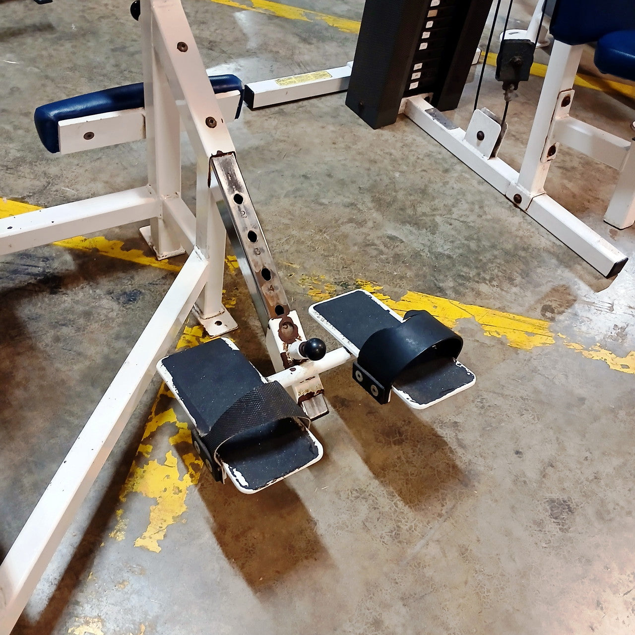 Cybex Classic Abdominal