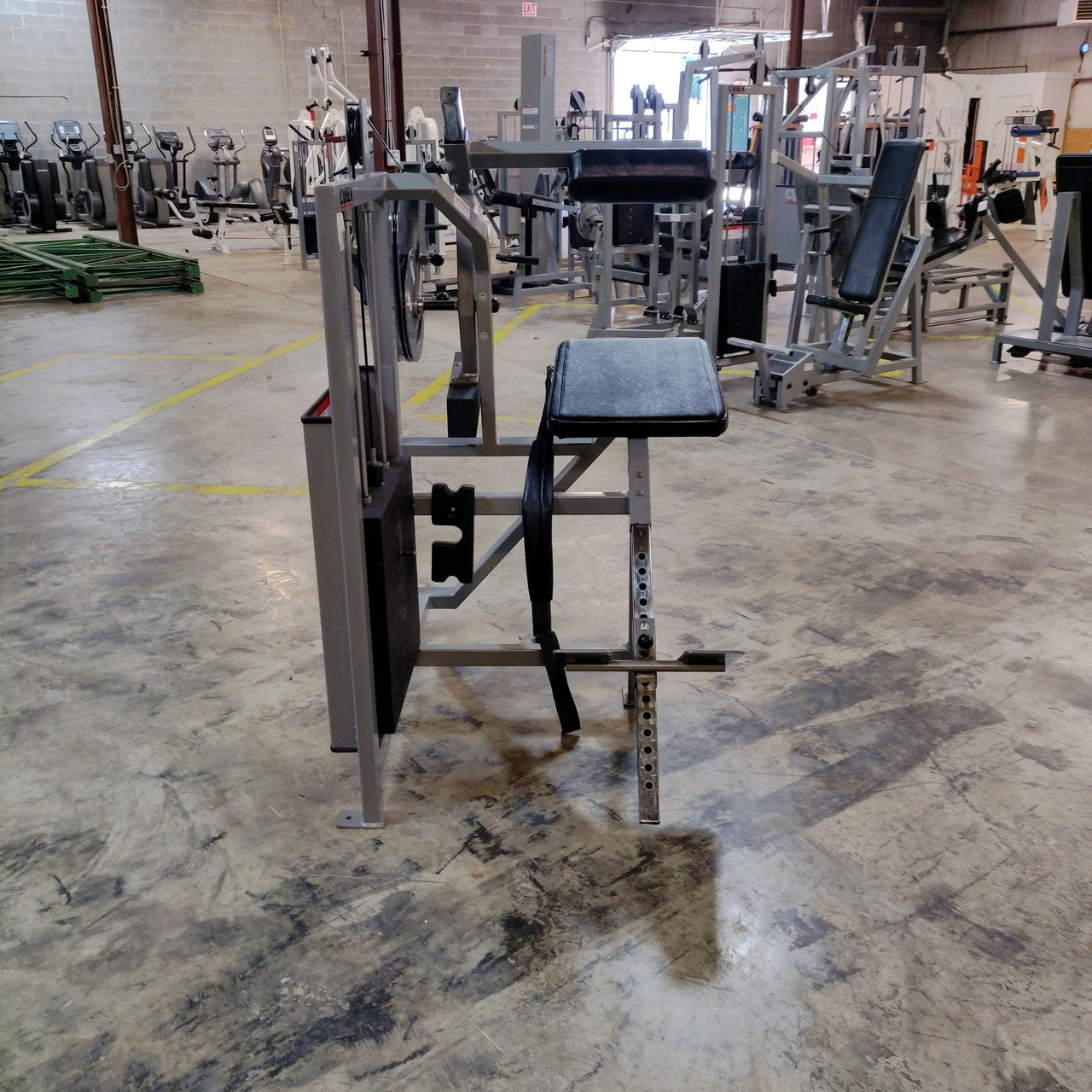 Cybex Classic Back Extension