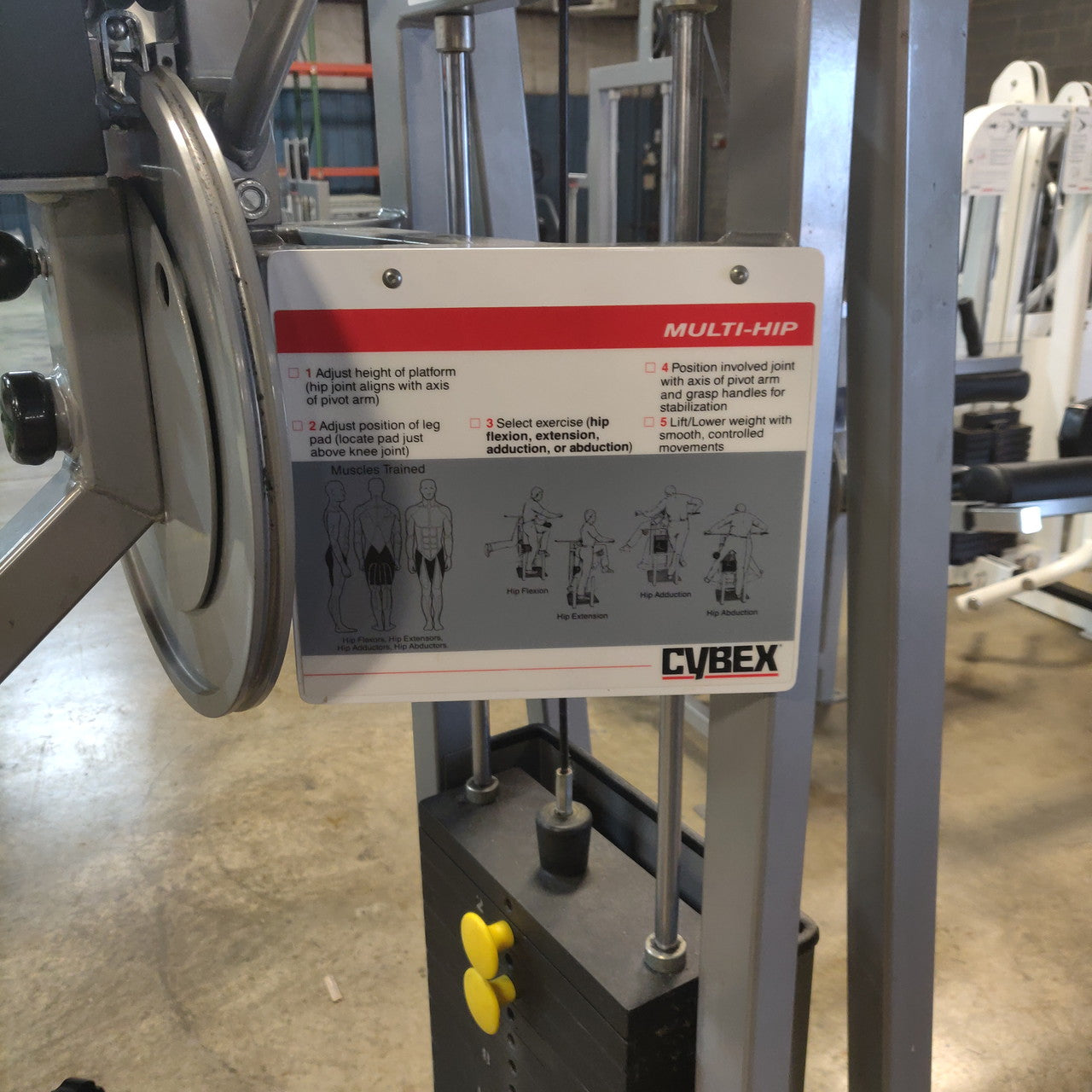 Cybex Classic Selectorized Multi Hip