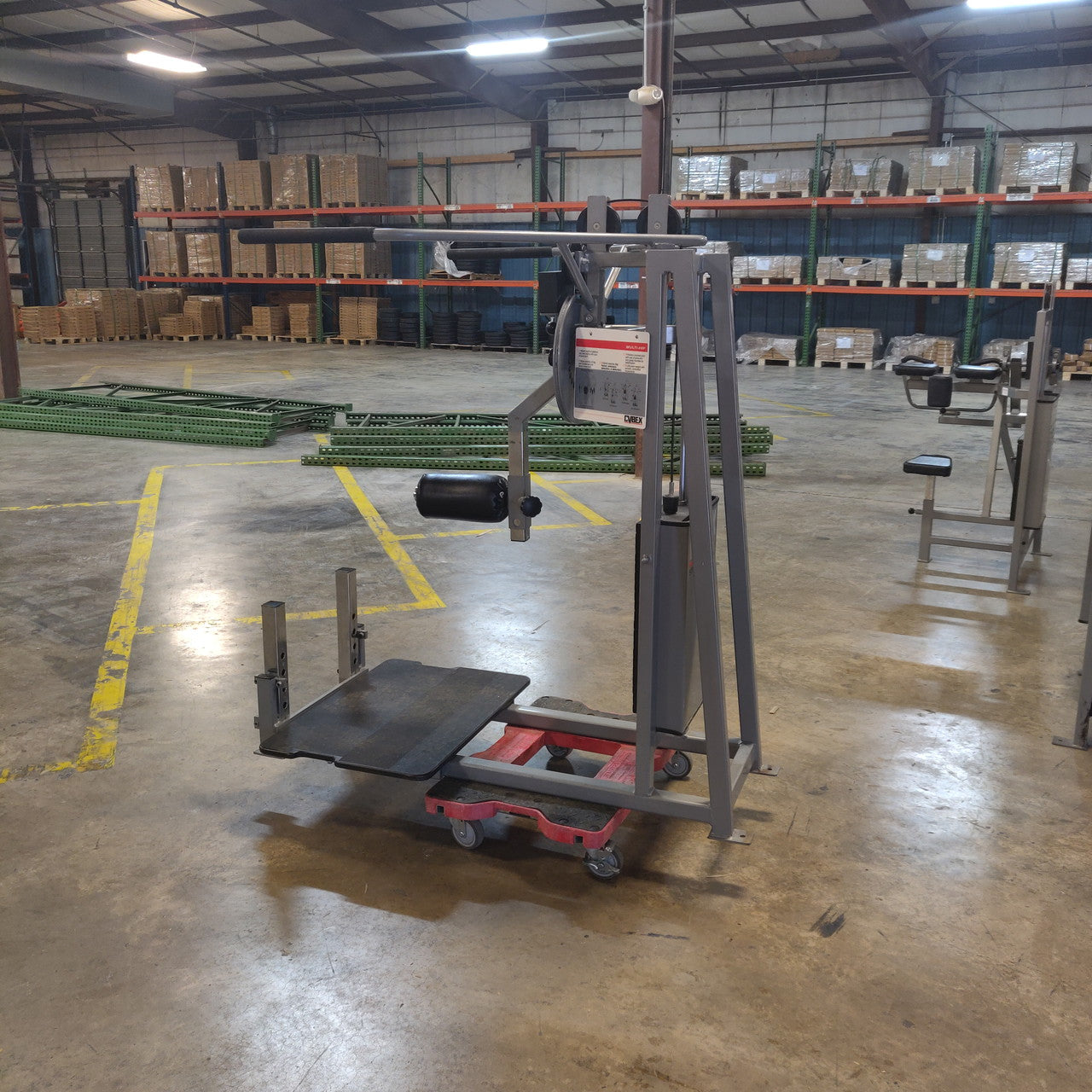 Cybex Classic Selectorized Multi Hip