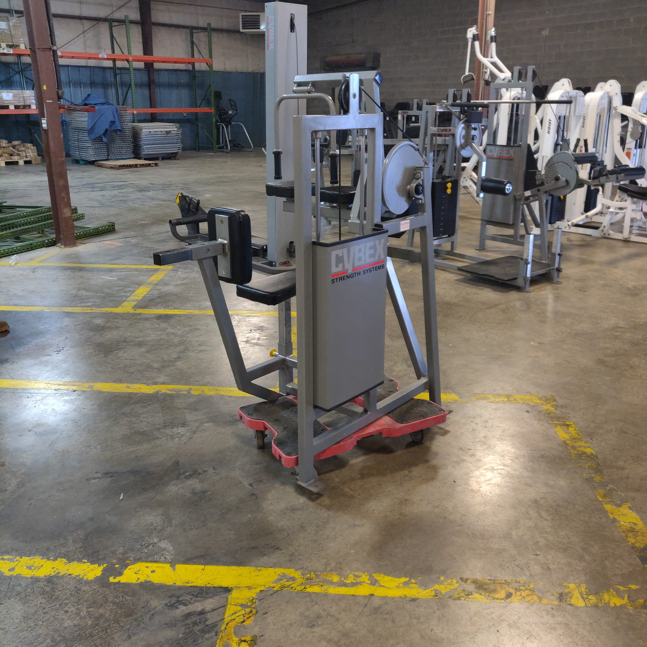 Cybex Classic Selectorized Tricep Extension