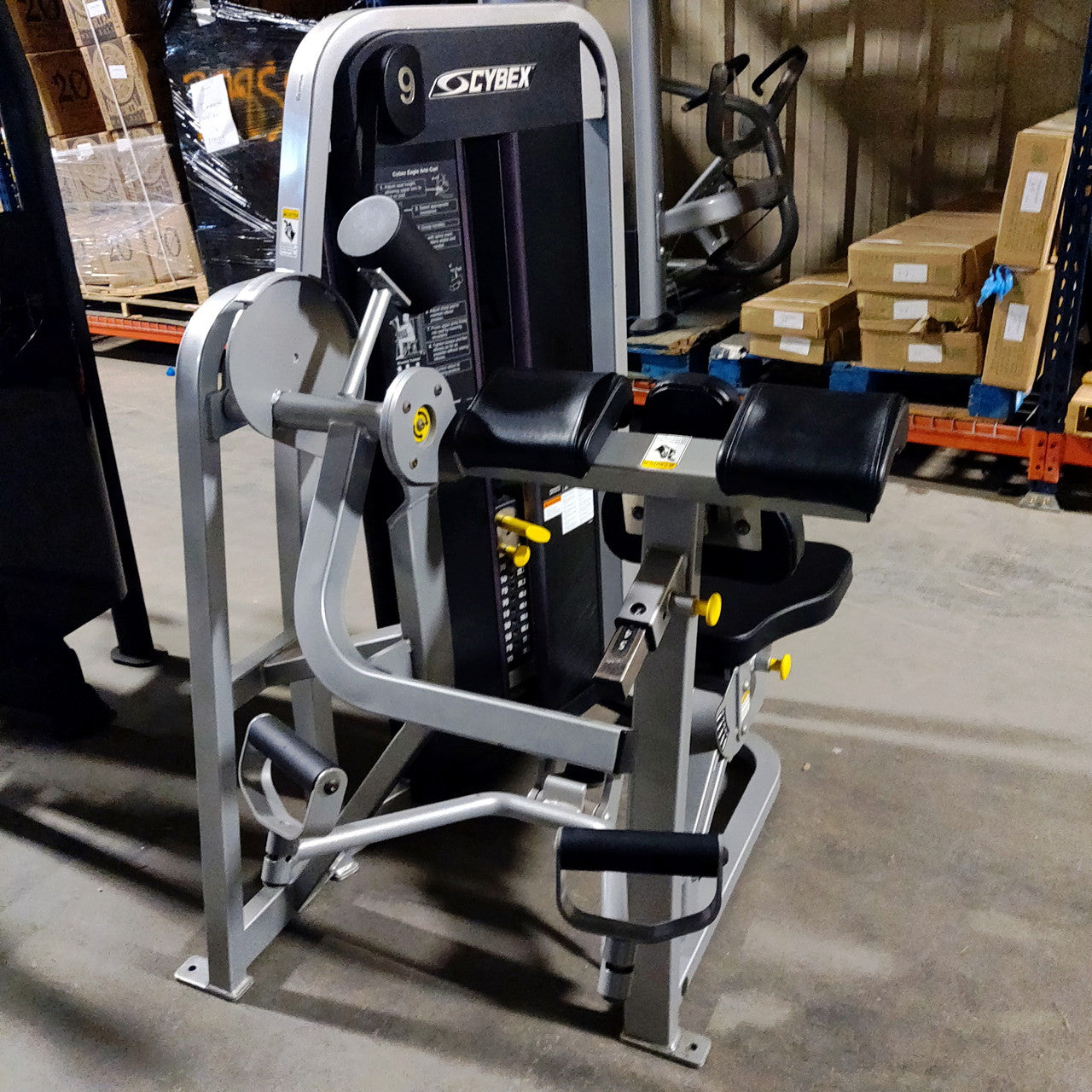 Cybex Eagle Arm / Bicep Curl 11070