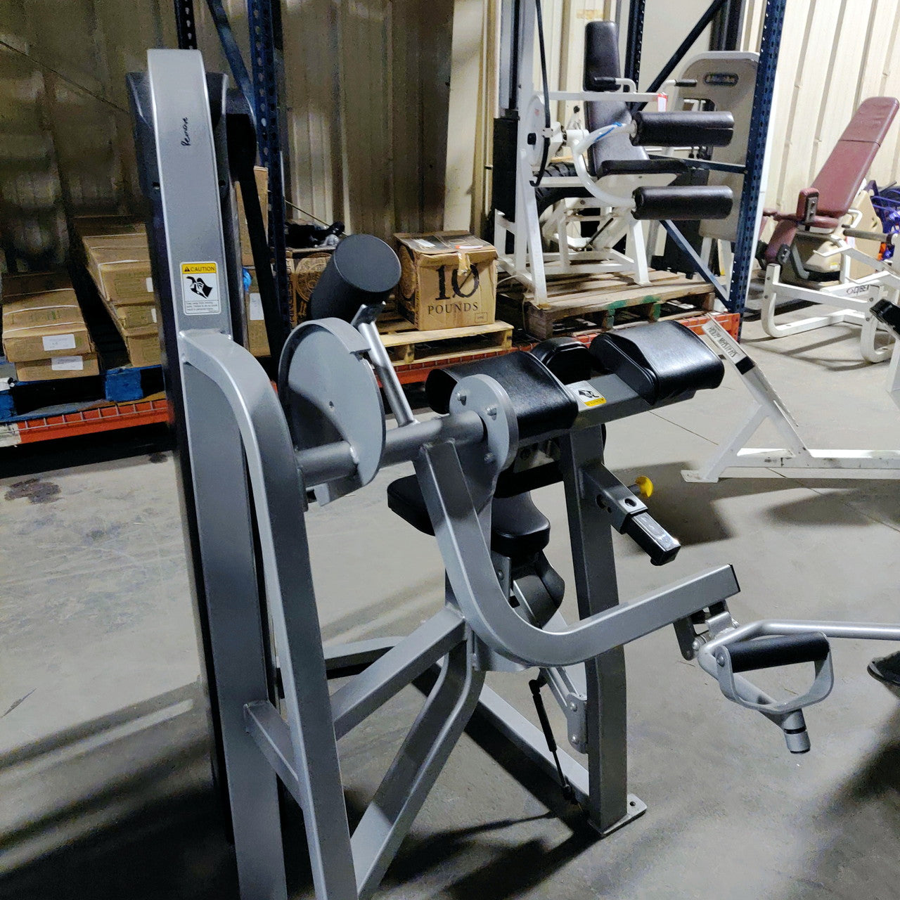 Cybex Eagle Arm / Bicep Curl 11070