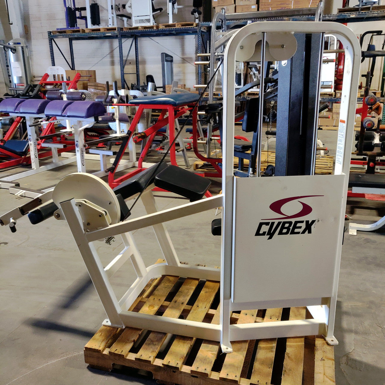 Cybex Prone Leg Curl