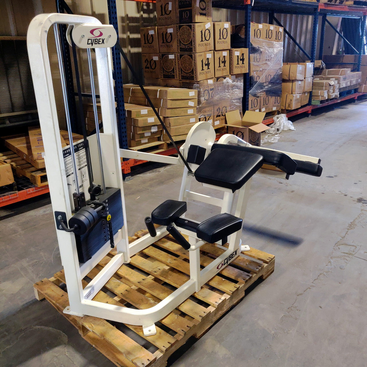 Cybex Prone Leg Curl Cybex Prone Leg Curl
