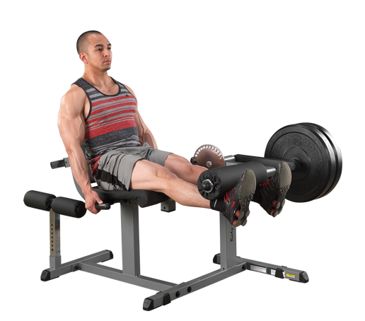 NEW Leg Curl/Extension Combo Plate Loaded by Body Solid GCEC340