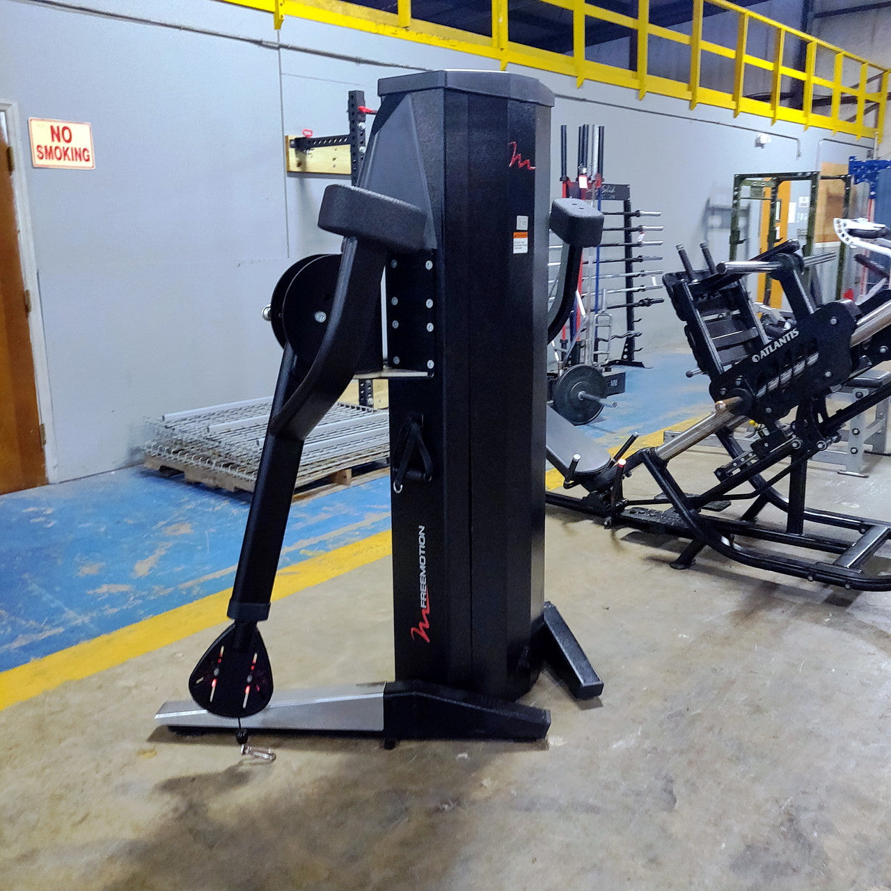 FreeMotion Dual Cable Cross