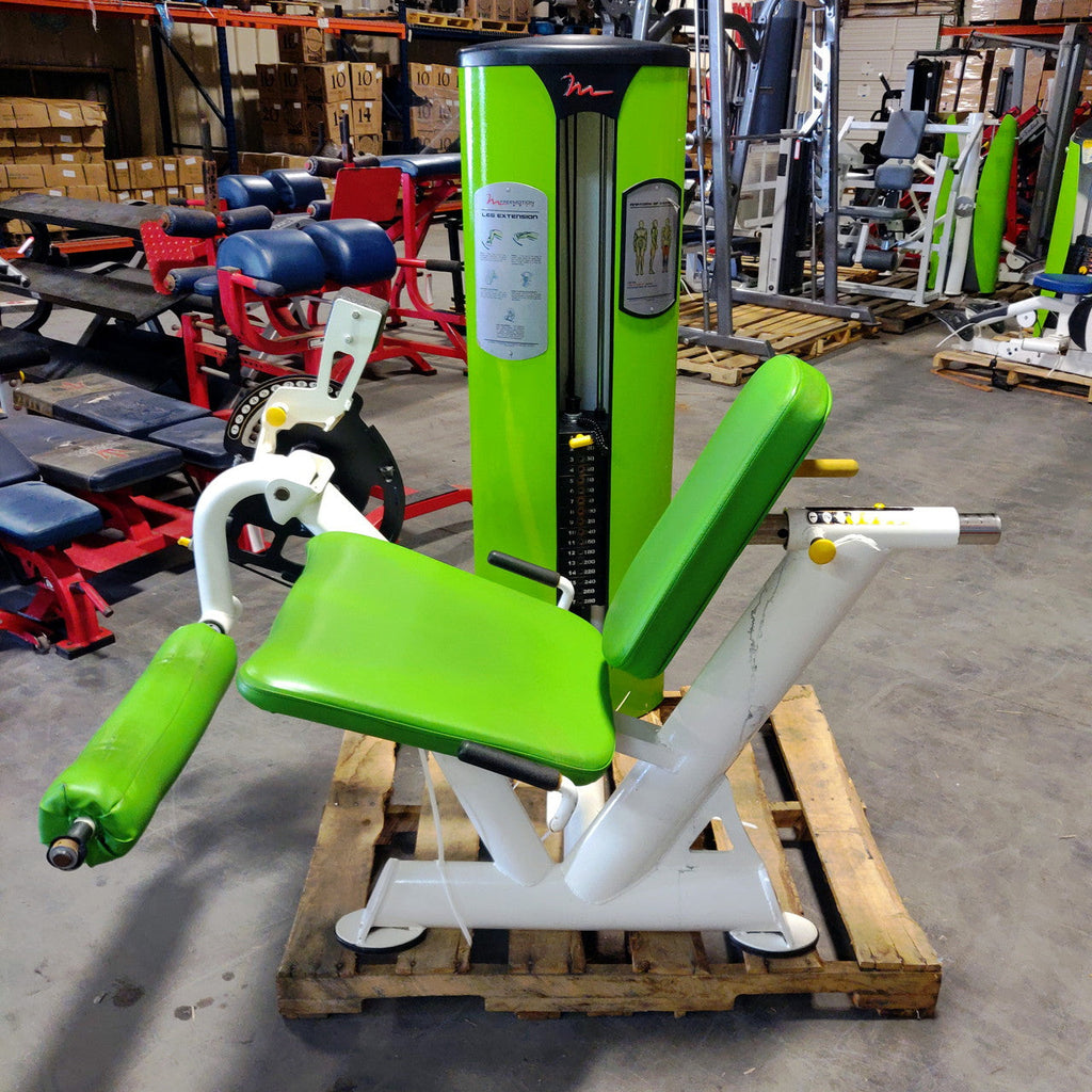 Leg Extension Machine Planet Fitness at Roger Hughes blog