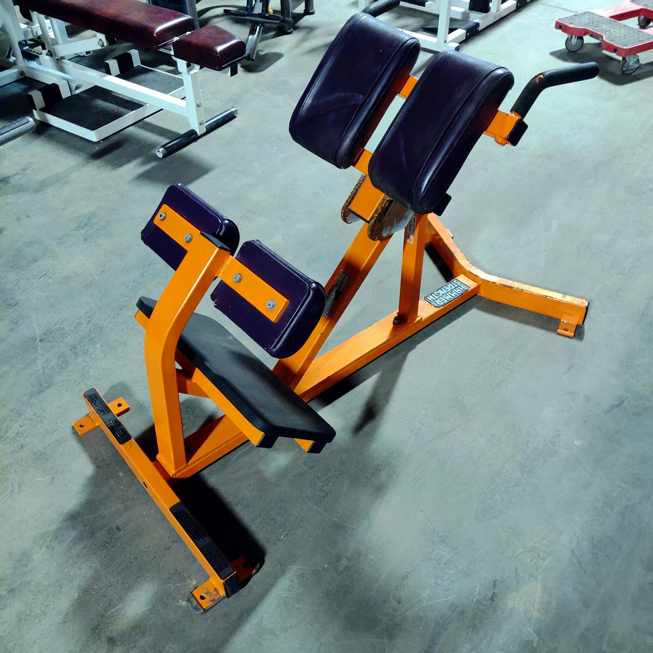 Hammer Strength Hyperextension Back Extension Bench