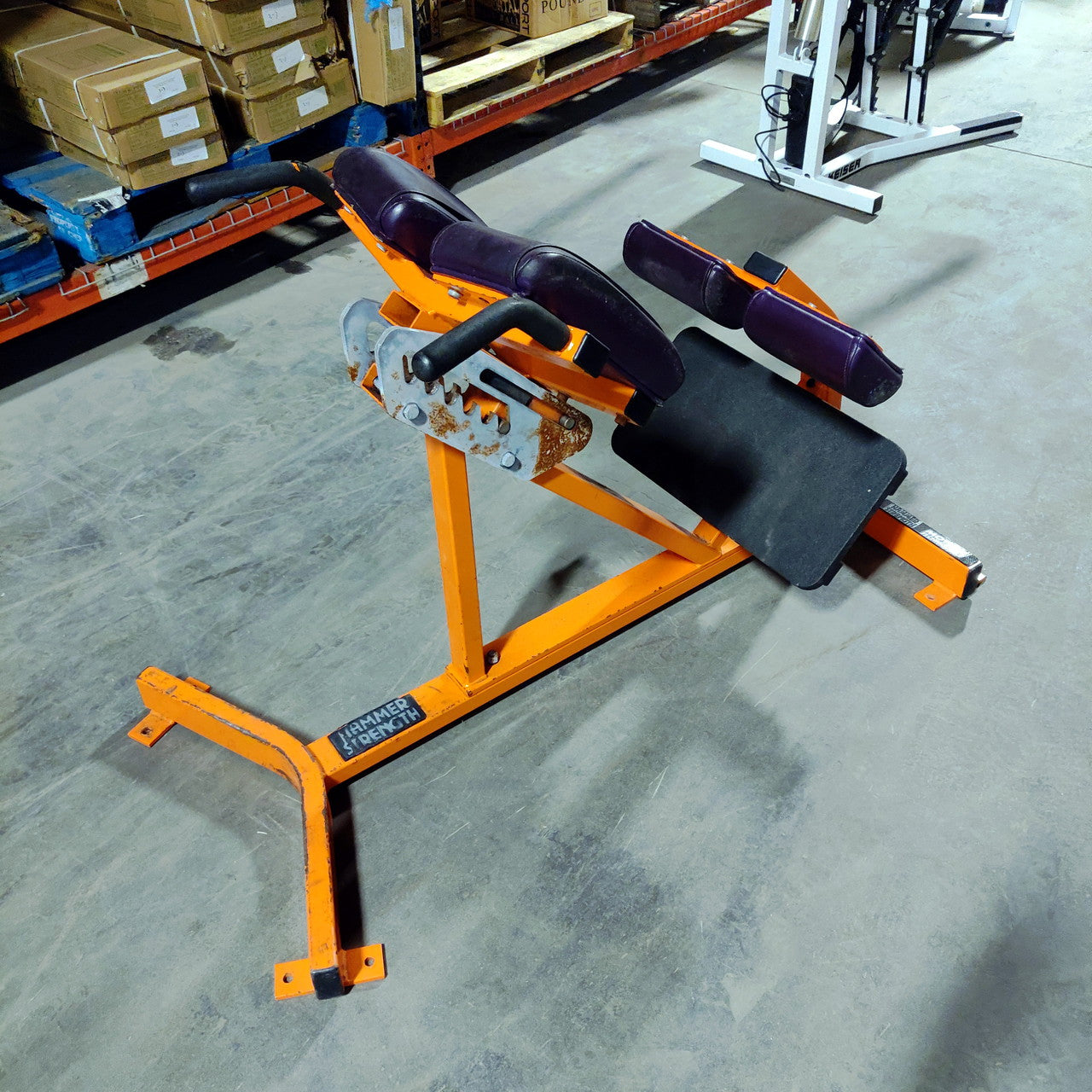 Hammer Strength Hyperextension Back Extension Bench