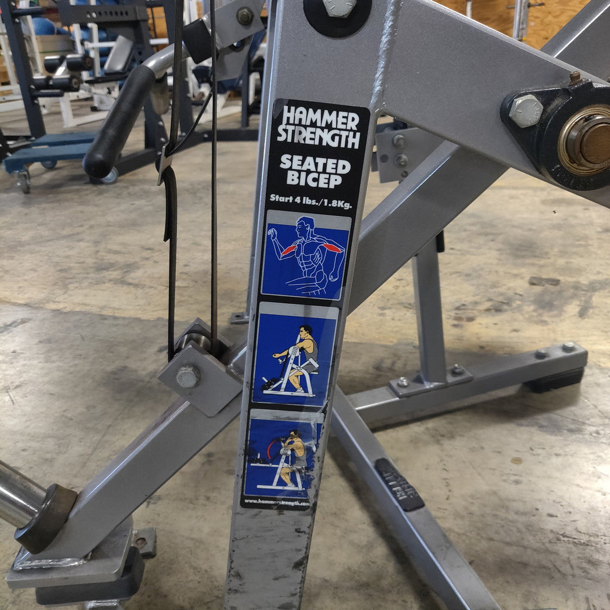 Hammer Strength Plate Loaded Seated Bicep Curl