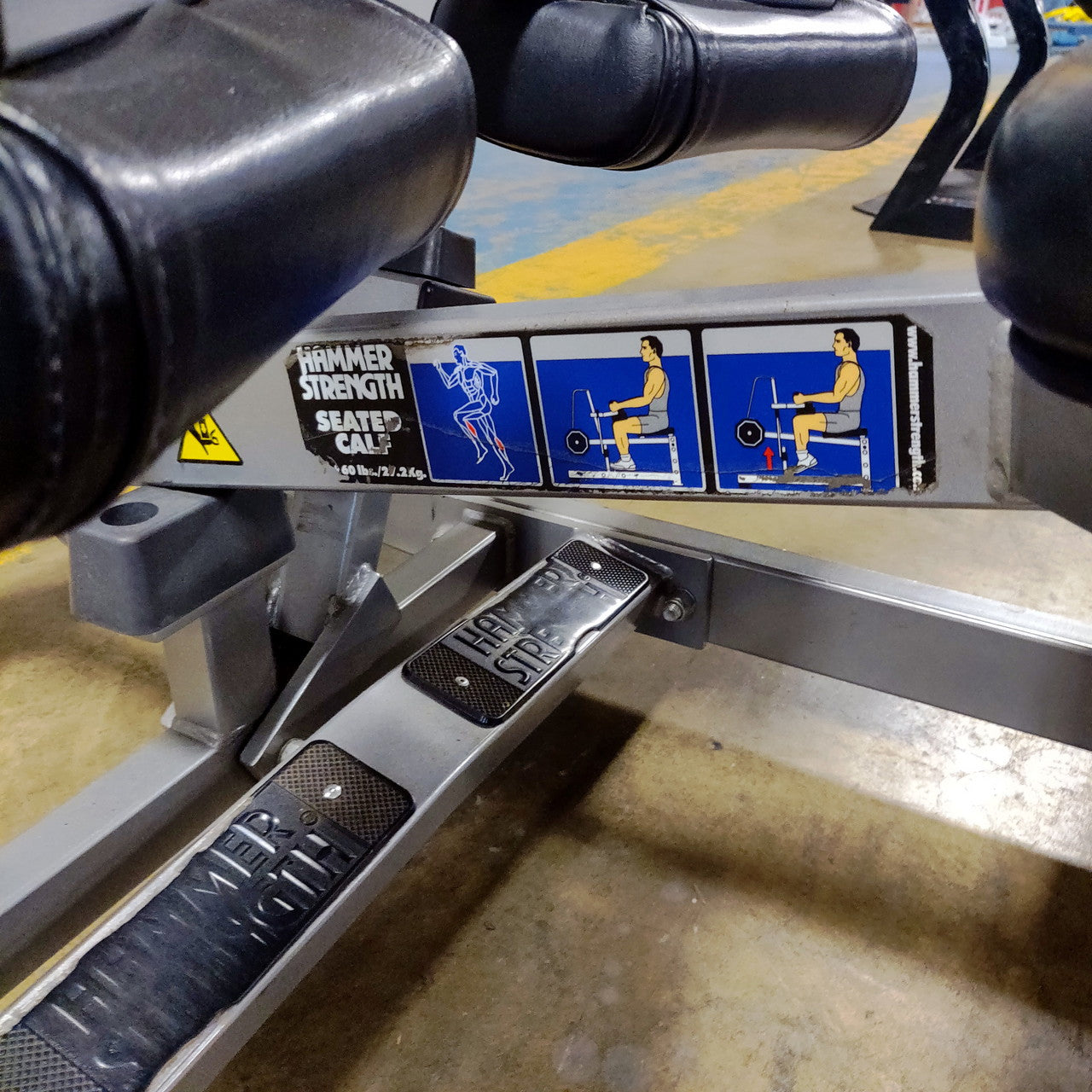 Hammer Strength Seated Calf Raise
