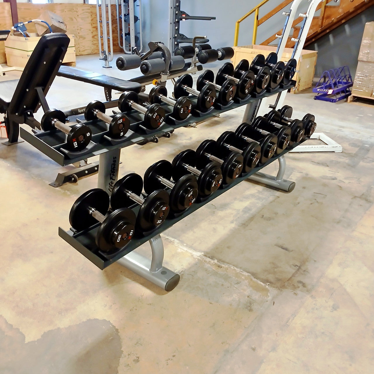 IGX Dumbbell Set 5–50 lbs with Rack – Complete Strength Training Set