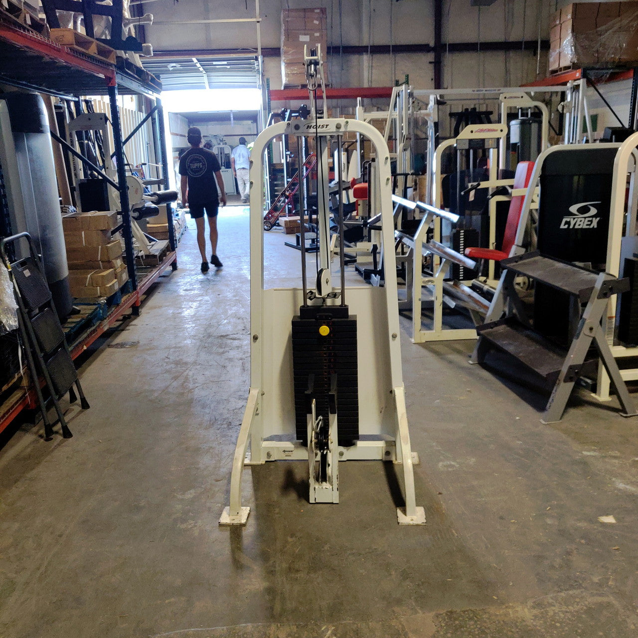 Hoist HD-1100 Bicep/Triceps