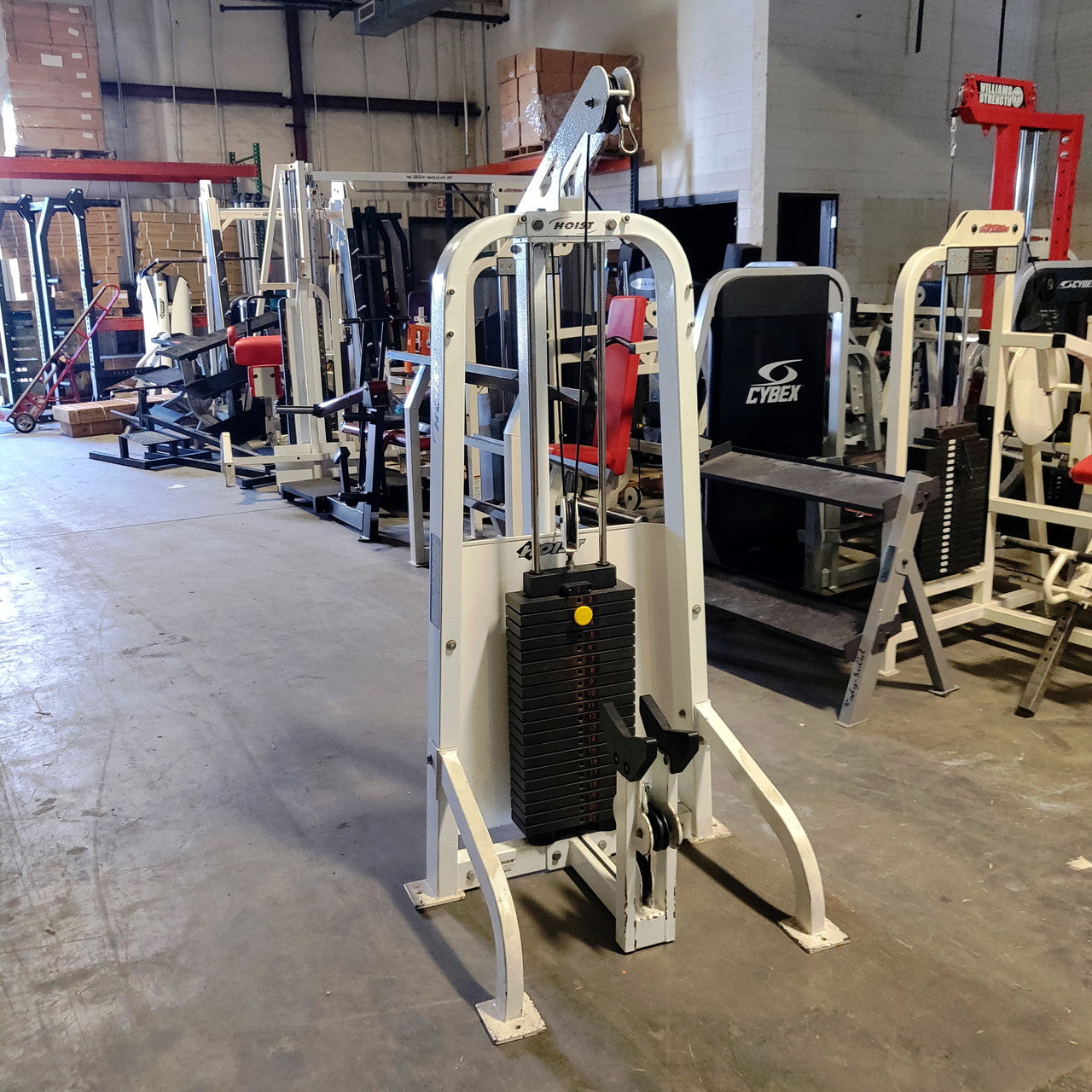 Hoist HD-1100 Bicep/Triceps