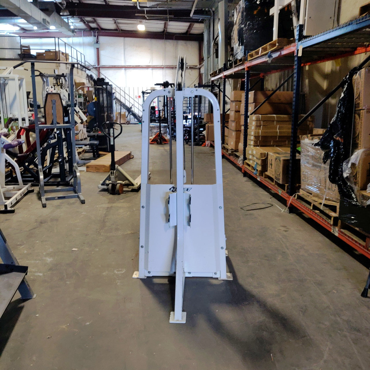 Hoist HD-1100 Bicep/Triceps