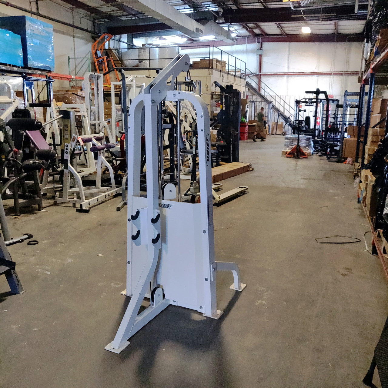 Hoist HD-1100 Bicep/Triceps