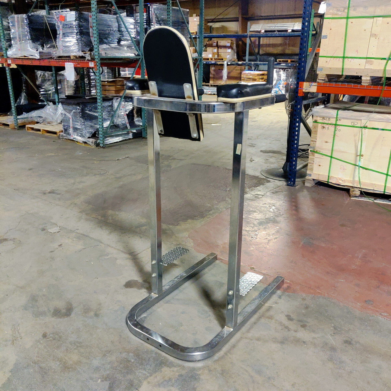 Vertical Knee Raise and Dip Station