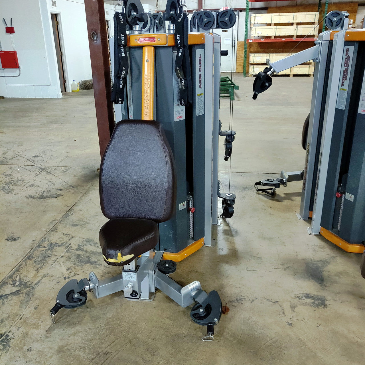 Star Trac Humansport Arm Curl Ab Bench