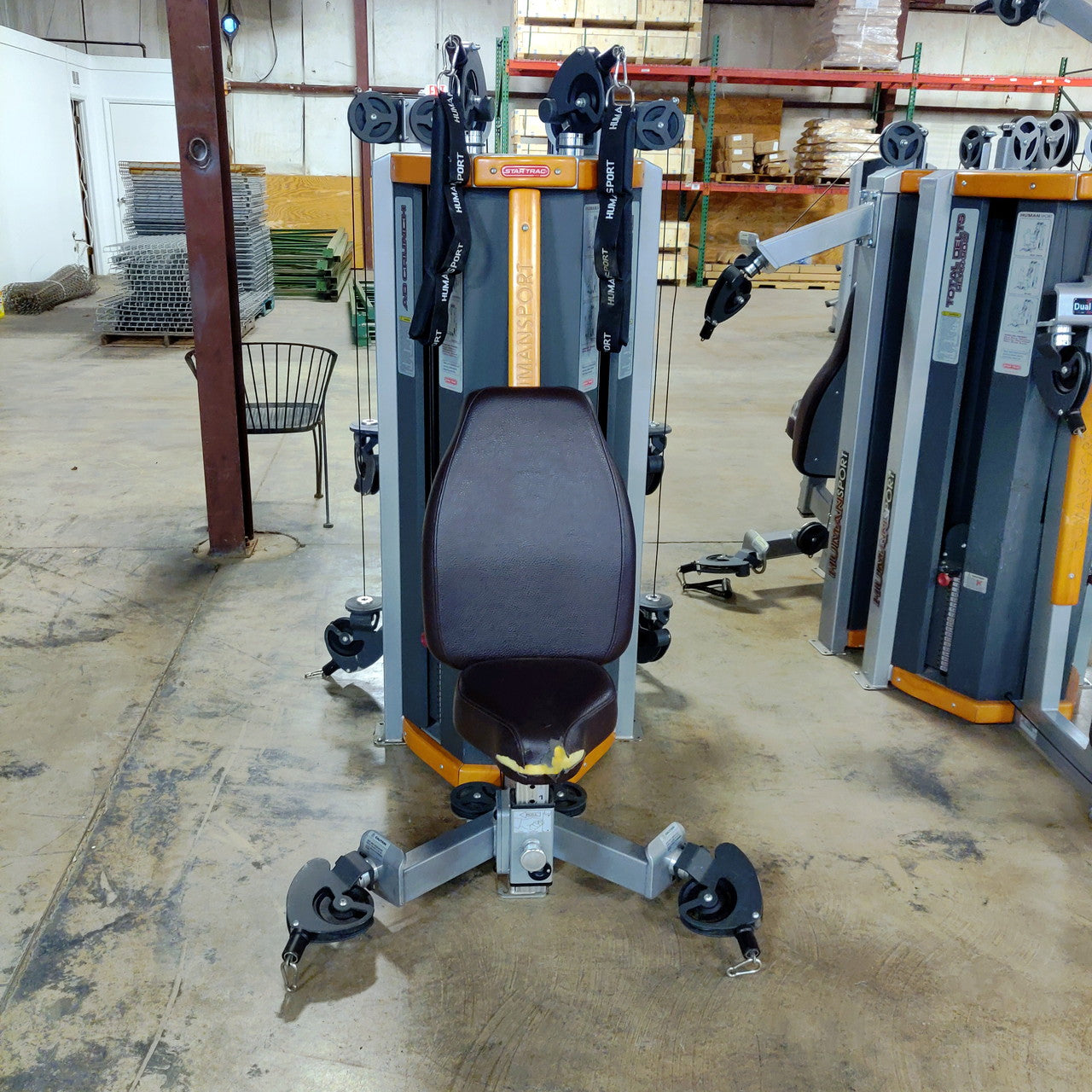 Star Trac Humansport Arm Curl Ab Bench