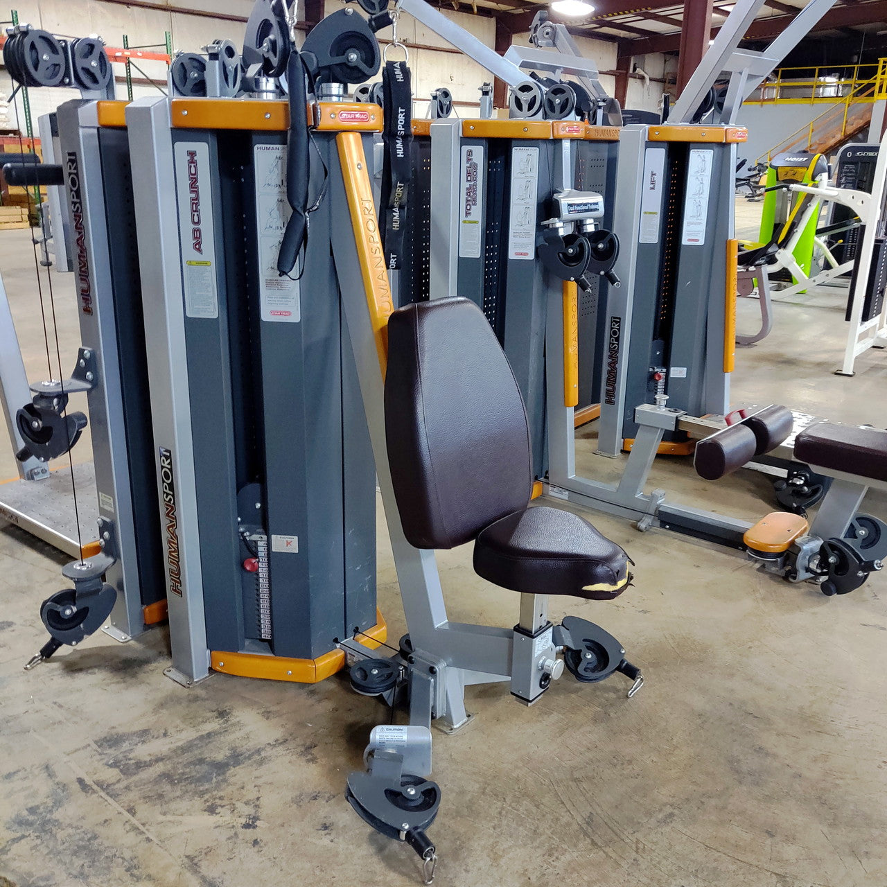 Star Trac Humansport Arm Curl Ab Bench