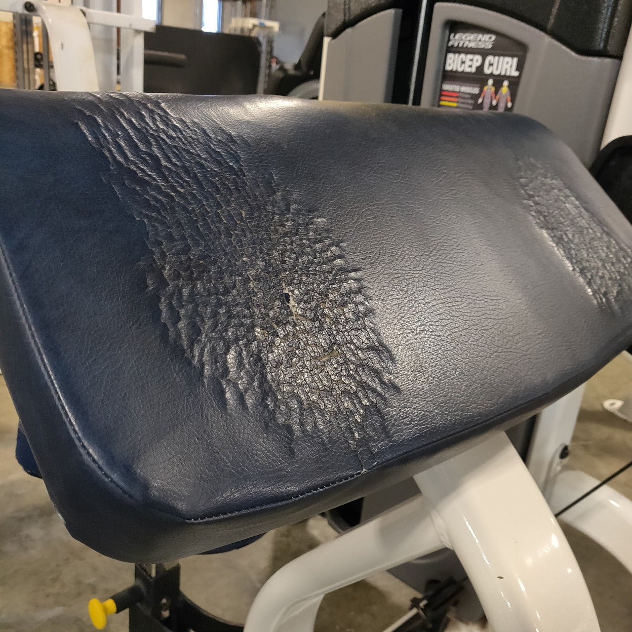 Legend Fitness SelectEDGE Bicep Curl