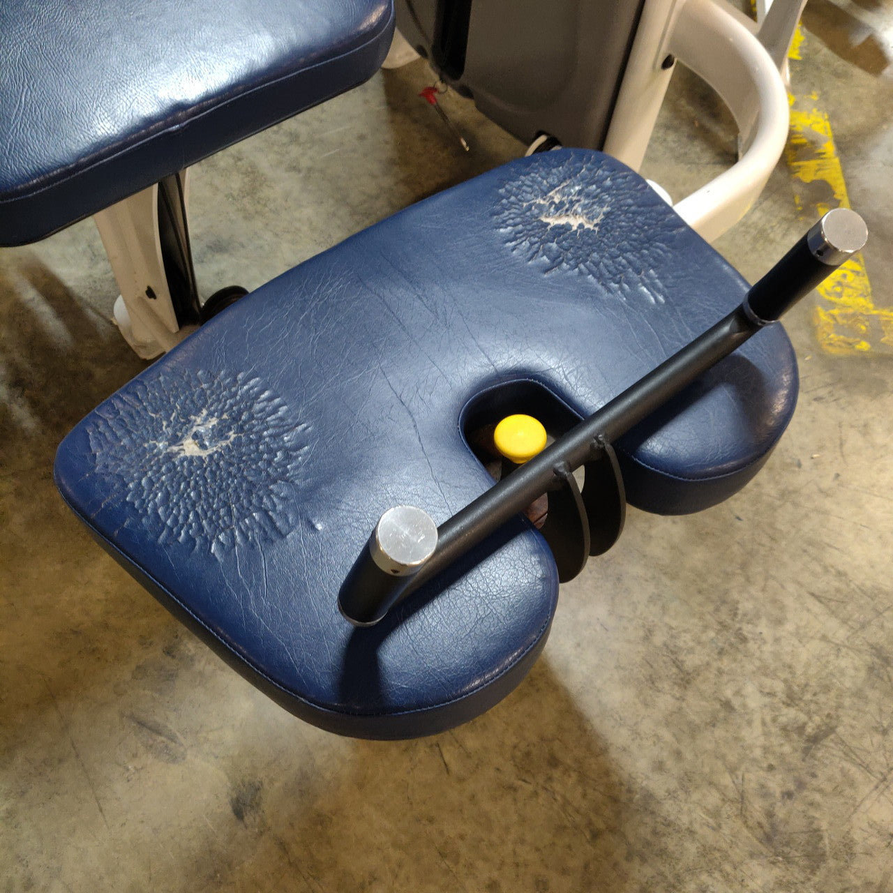 Legend Fitness SelectEDGE Hamstring Curl