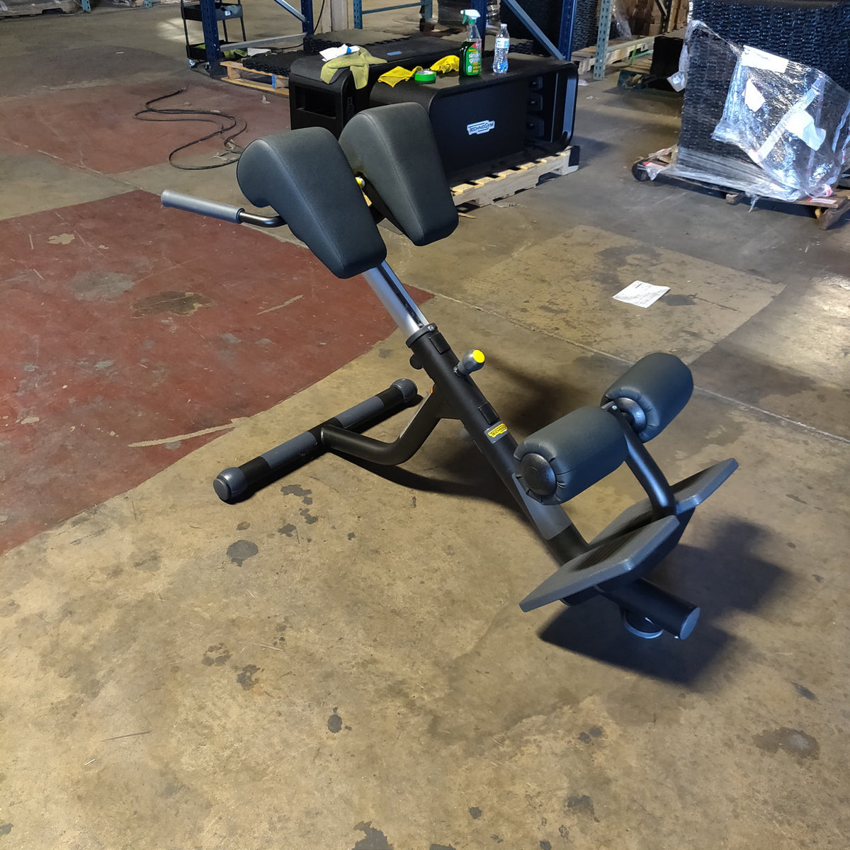 Technogym Lower Back Bench/45 degree back Extension
