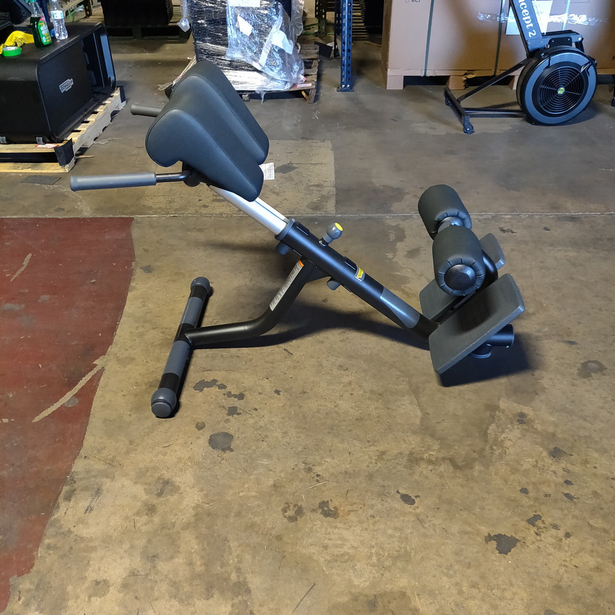 Technogym Lower Back Bench/45 degree back Extension