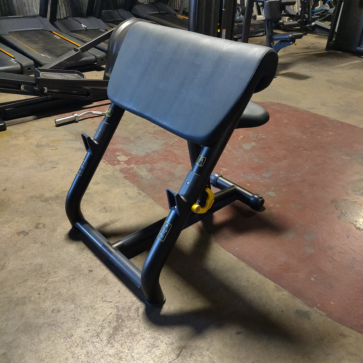 Technogym Preacher Curl Bench w/ Curl Bar