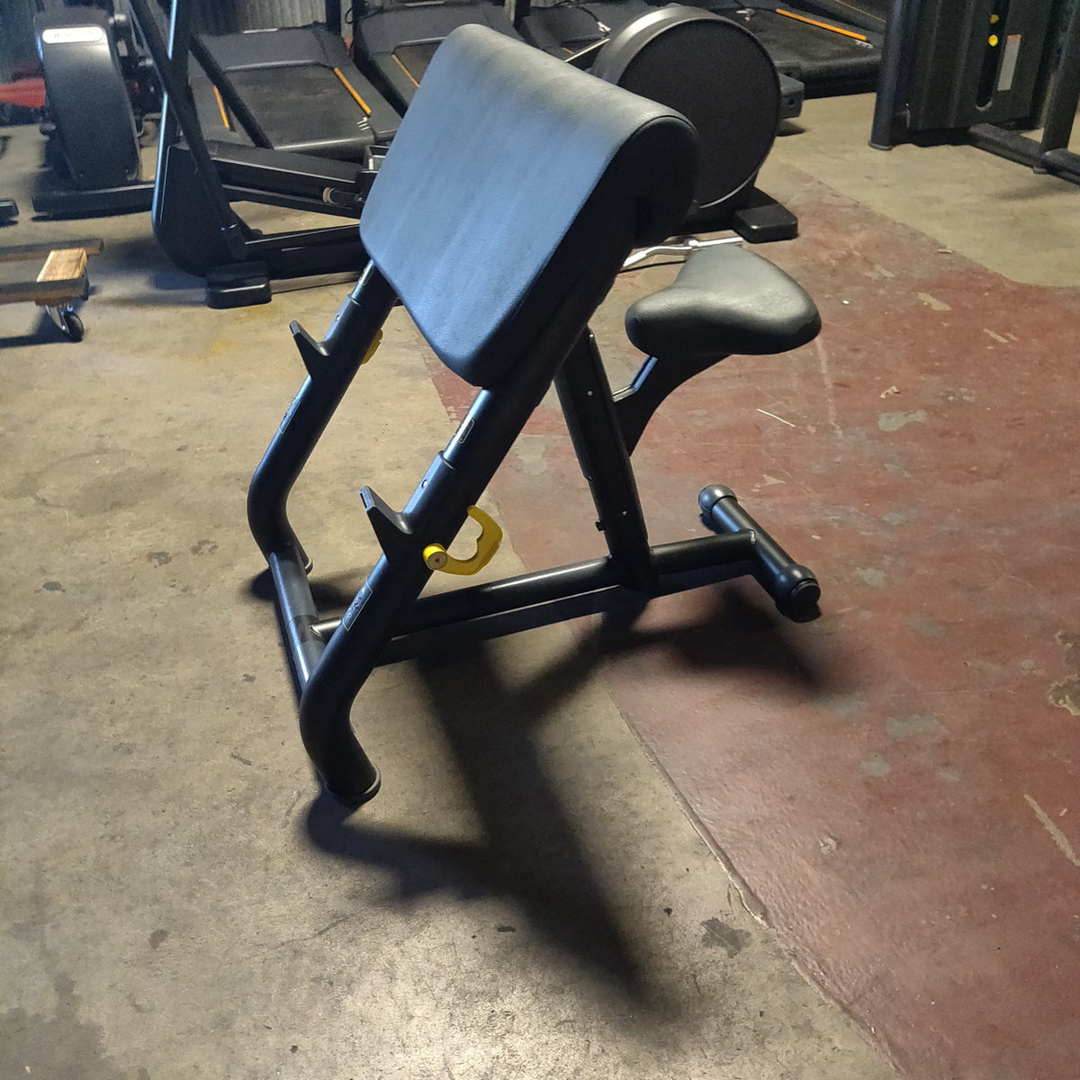 Technogym Preacher Curl Bench w/ Curl Bar