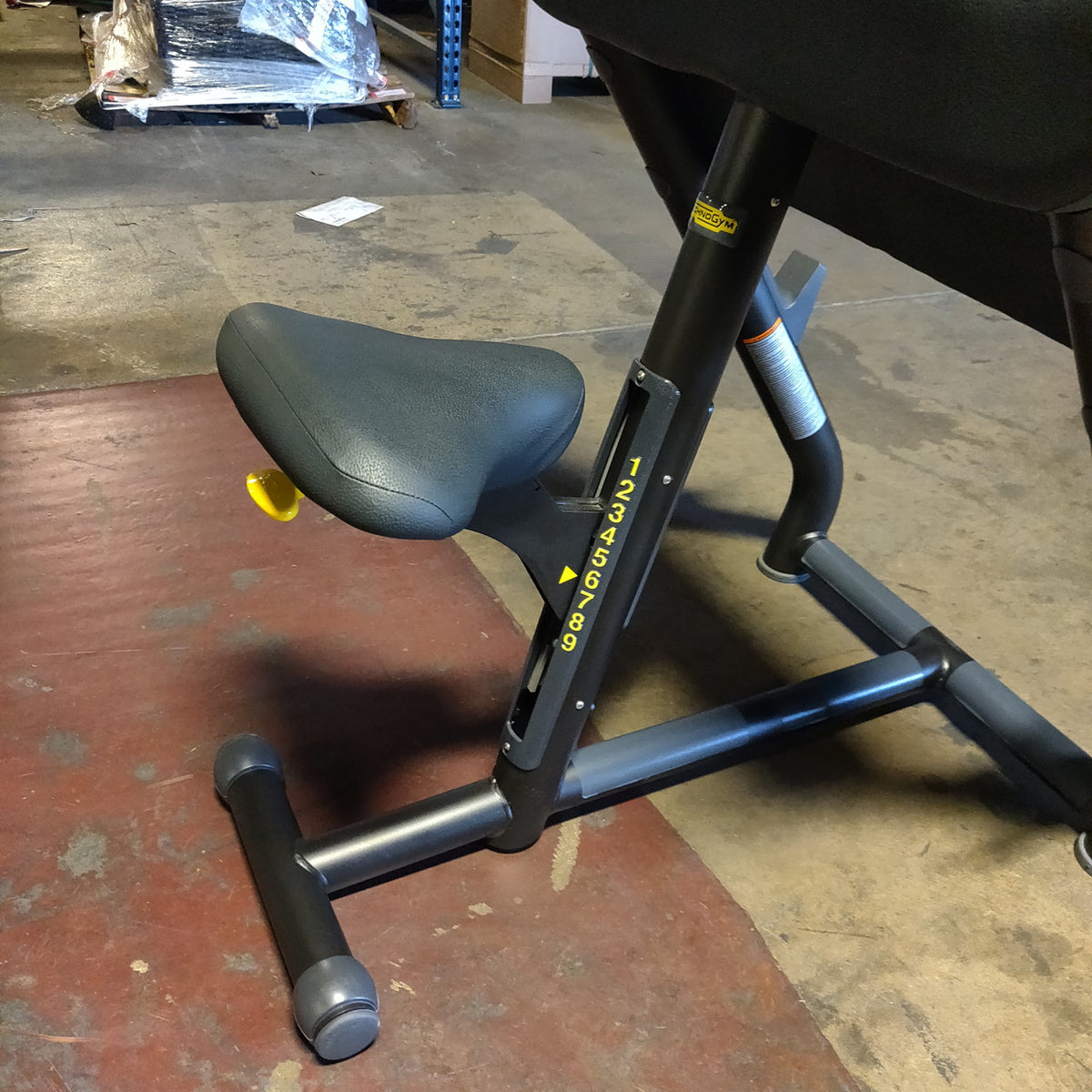 Technogym Preacher Curl Bench w/ Curl Bar