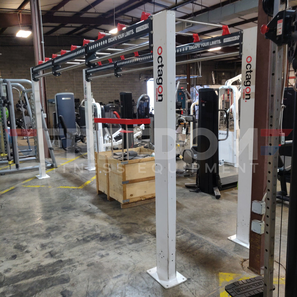 Escape Fitness Custom Octagon Functional Training Station
