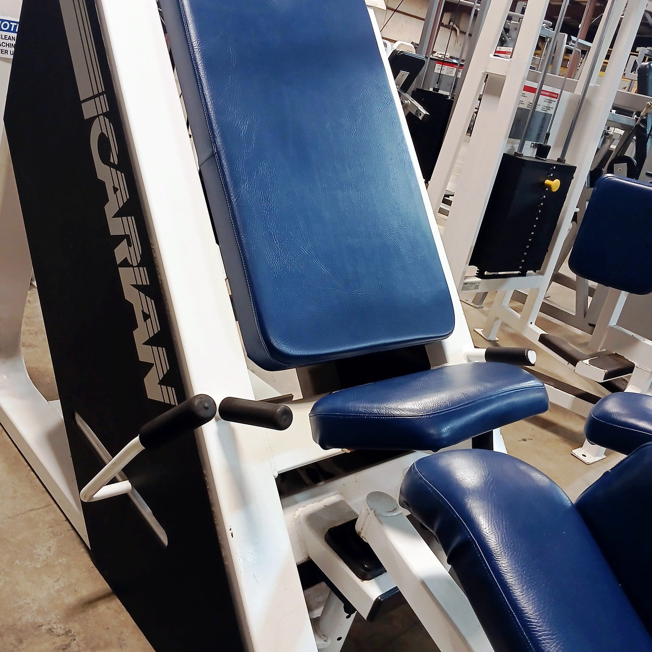 Icarian Hip Adductor