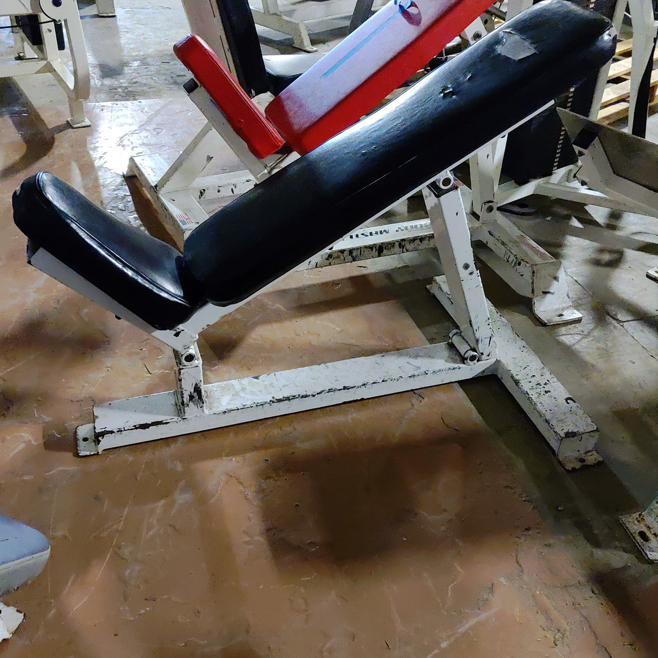 Icarian Weight Bench