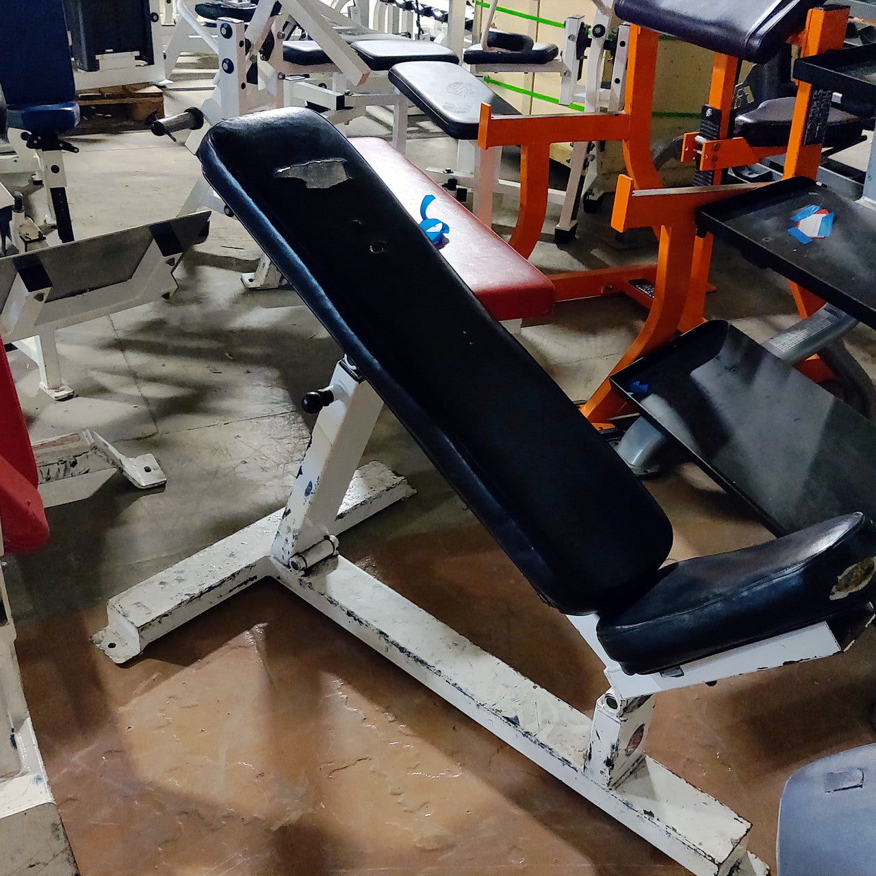 Icarian Weight Bench