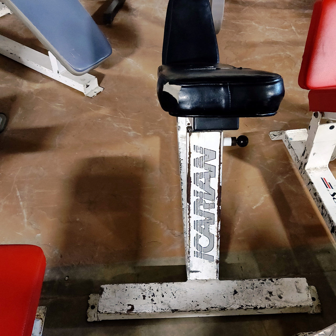 Icarian Weight Bench