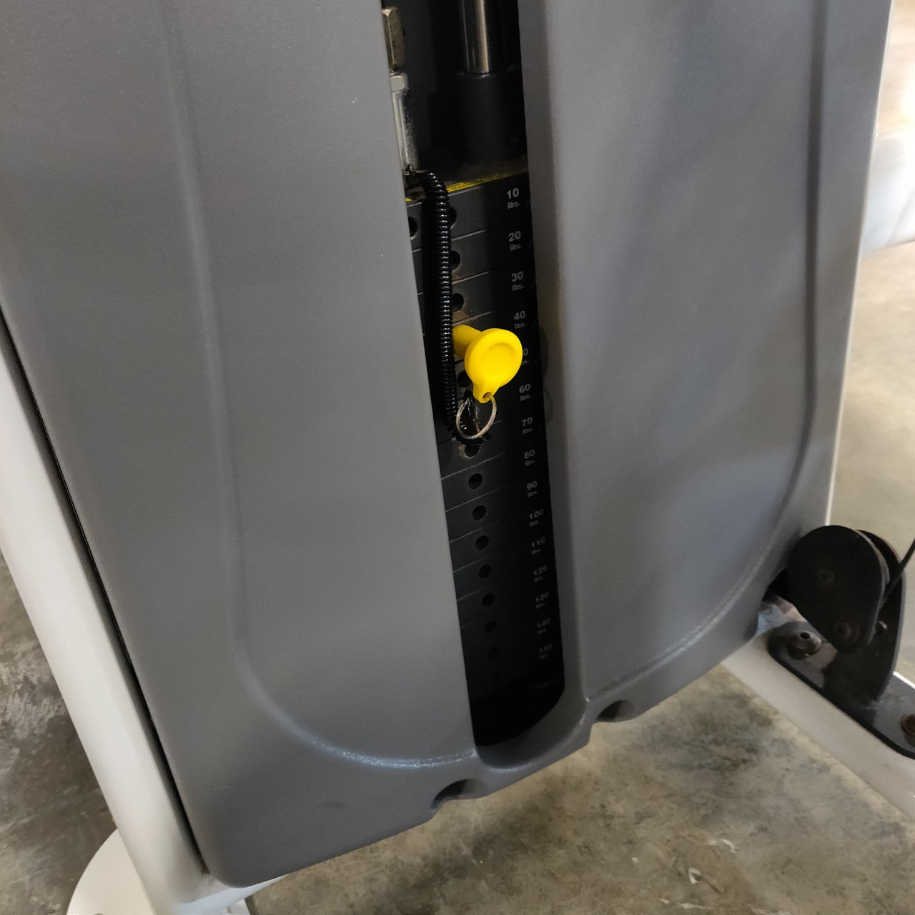 Legend Fitness SelectEDGE Bicep Curl