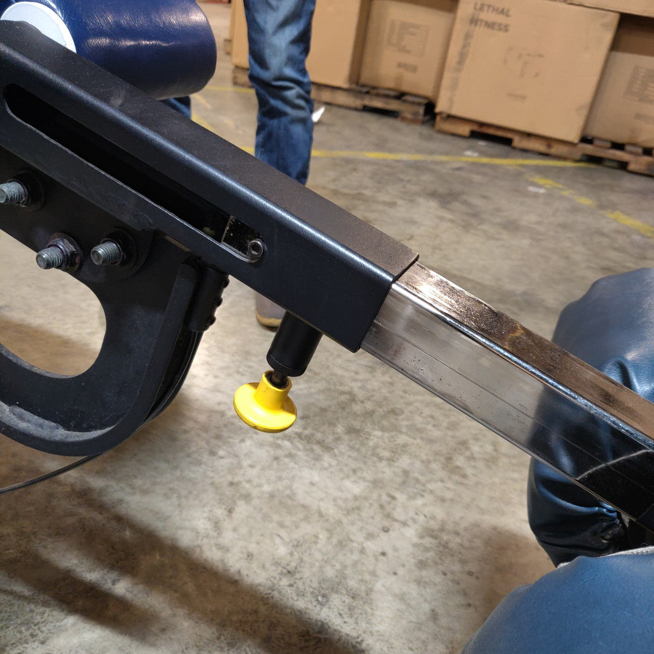 Legend Fitness SelectEDGE Hamstring Curl