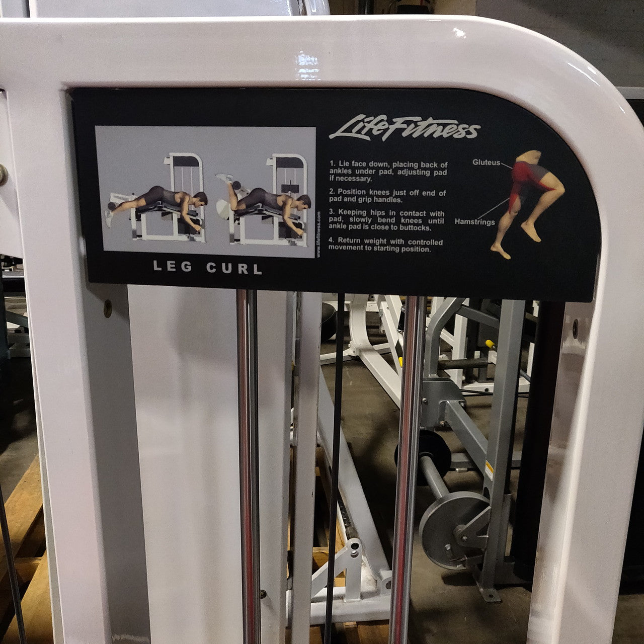 Life Fitness Pro / Pro1 Prone Leg Curl