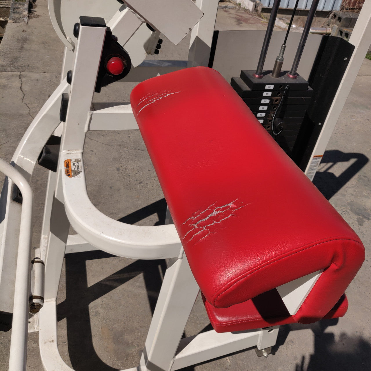 Life Fitness Pro1 Bicep Curl