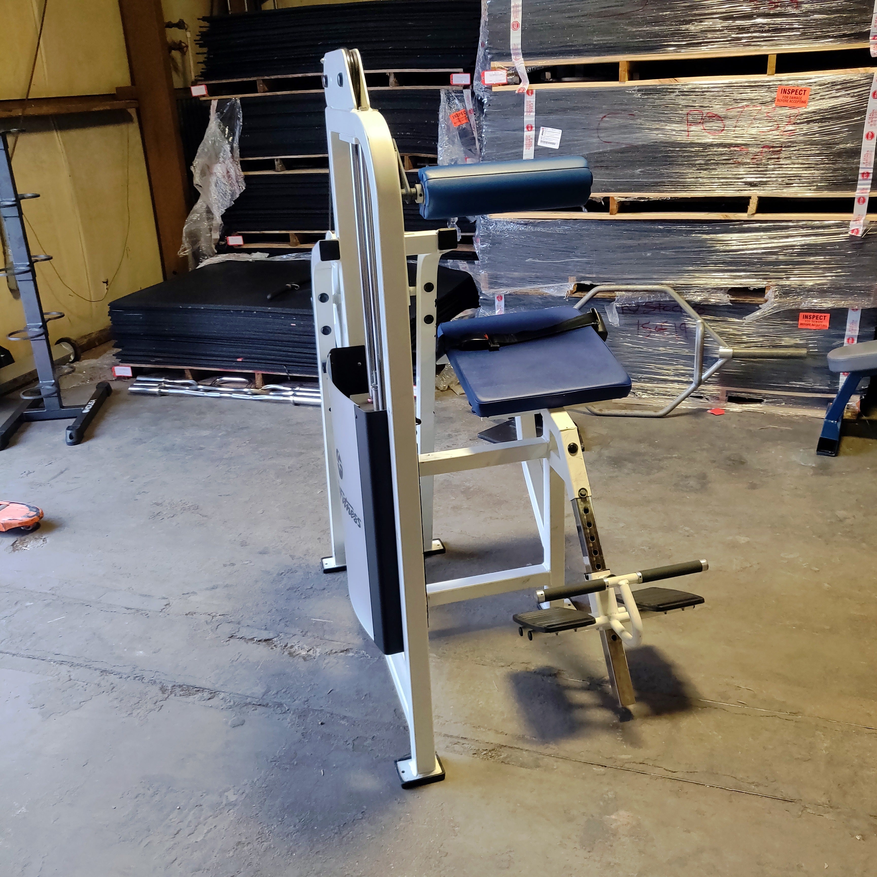 Life Fitness Pro1 Low Back Extension