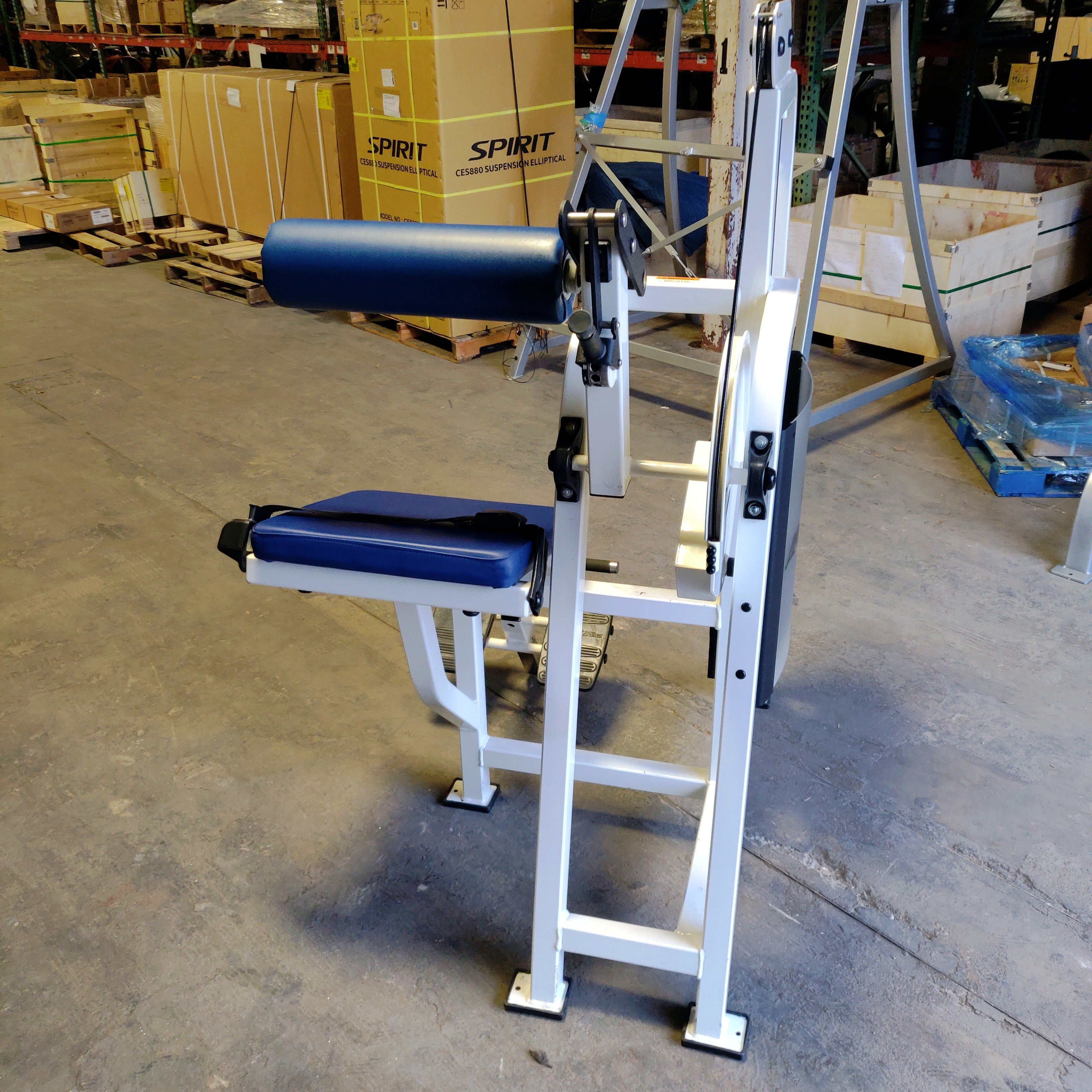 Life Fitness Pro1 Low Back Extension