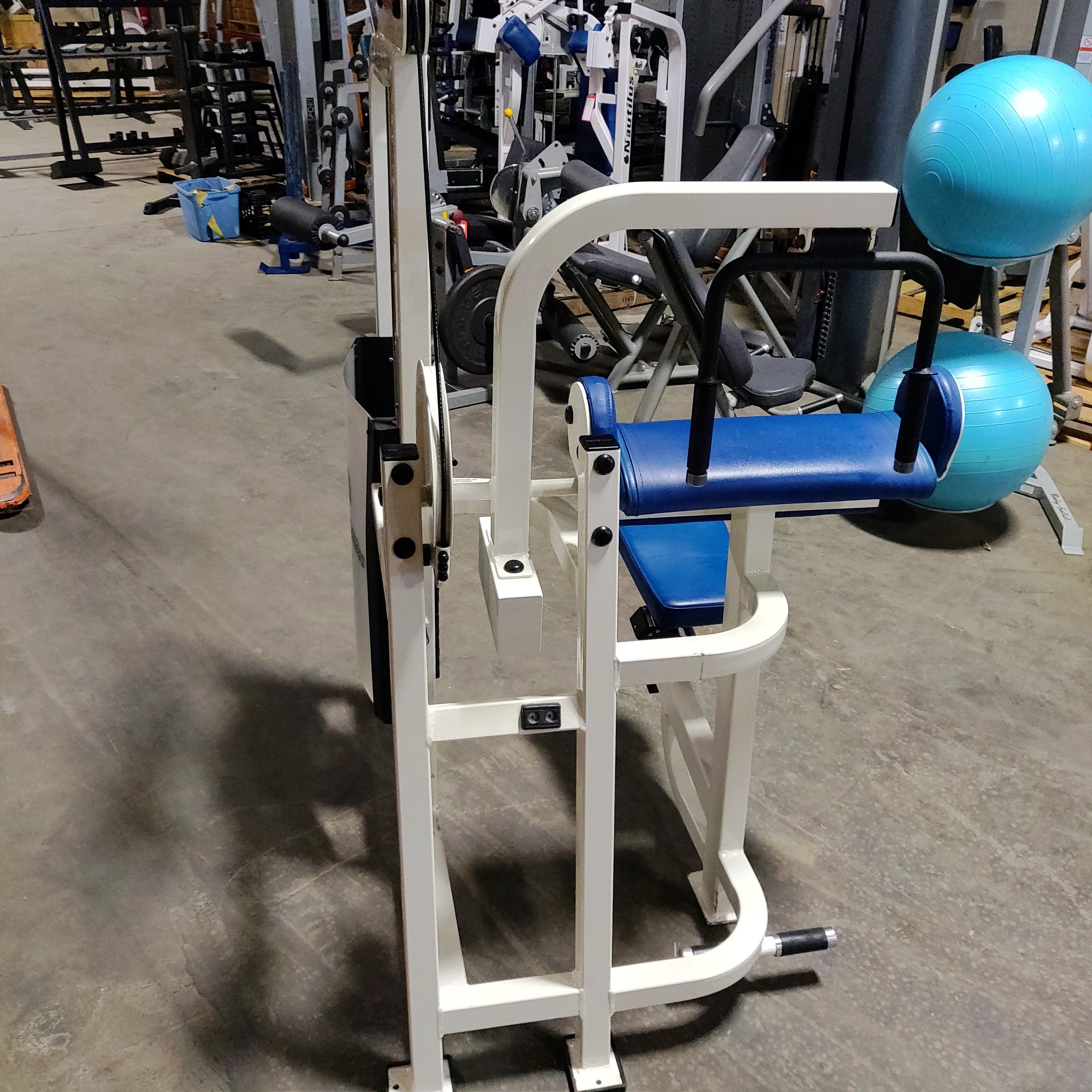 Life Fitness Pro1 Tricep/Arm Extension Strength Machine