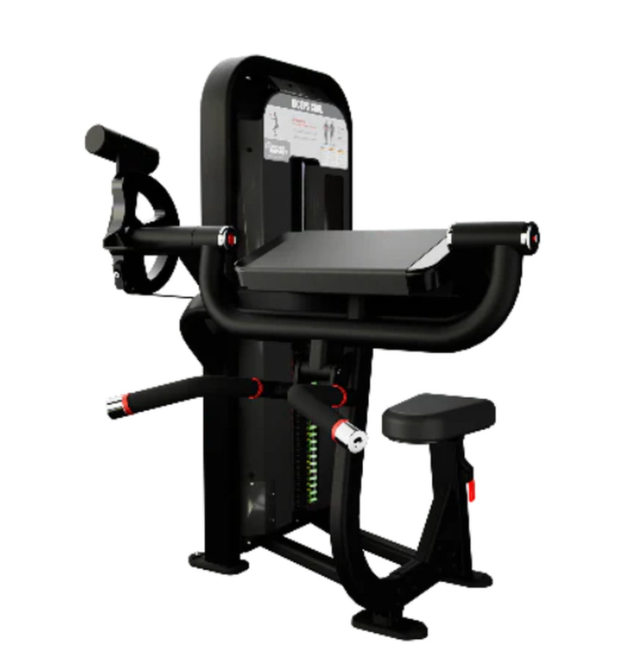 Nautilus Impact Biceps Curl