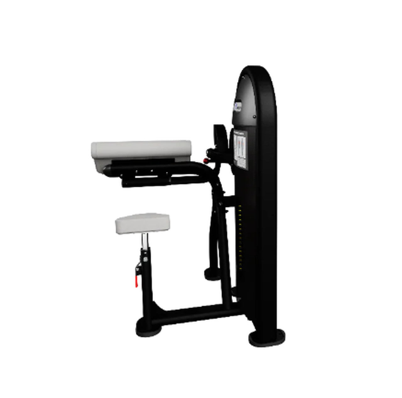 Nautilus Instinct Dual Biceps Curl/Triceps Extension