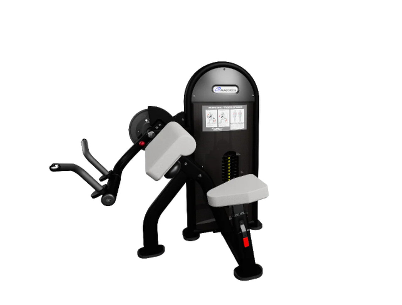 Nautilus Instinct Dual Biceps Curl/Triceps Extension