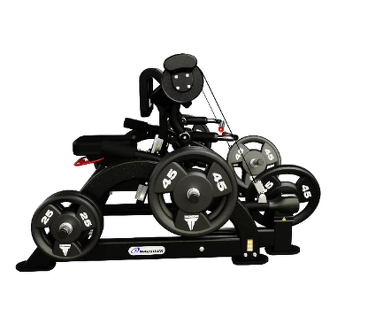 Nautilus Leverage Biceps Curl