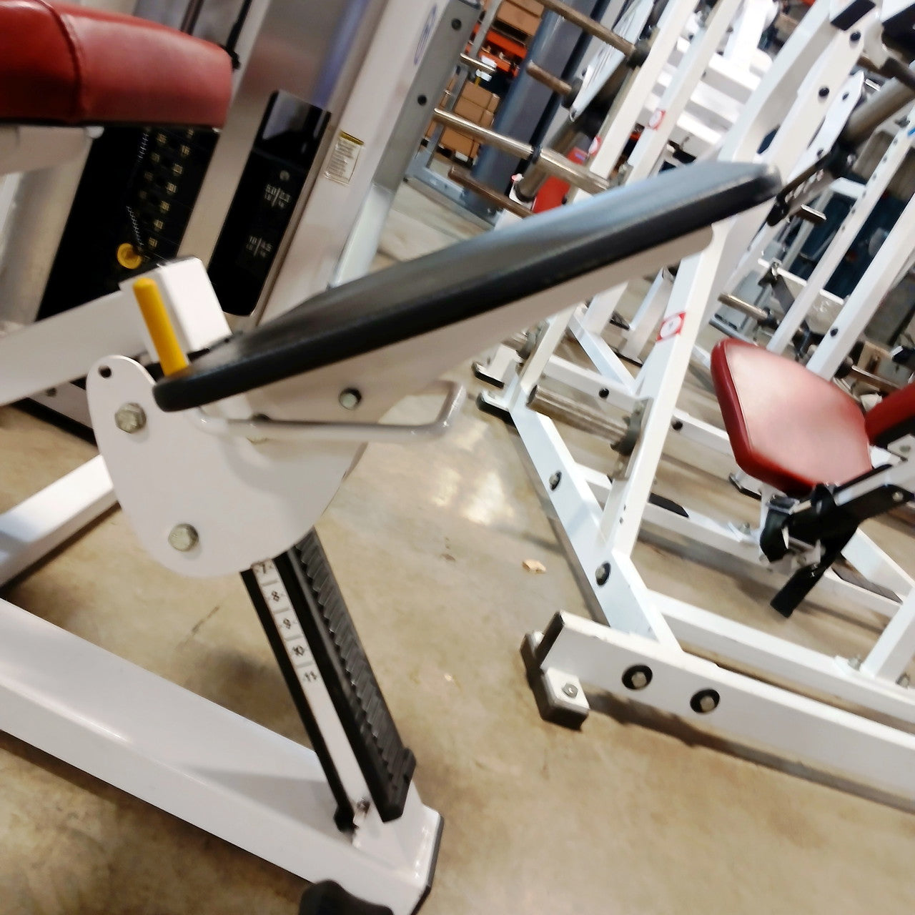 Nautilus Nitro Lower Back