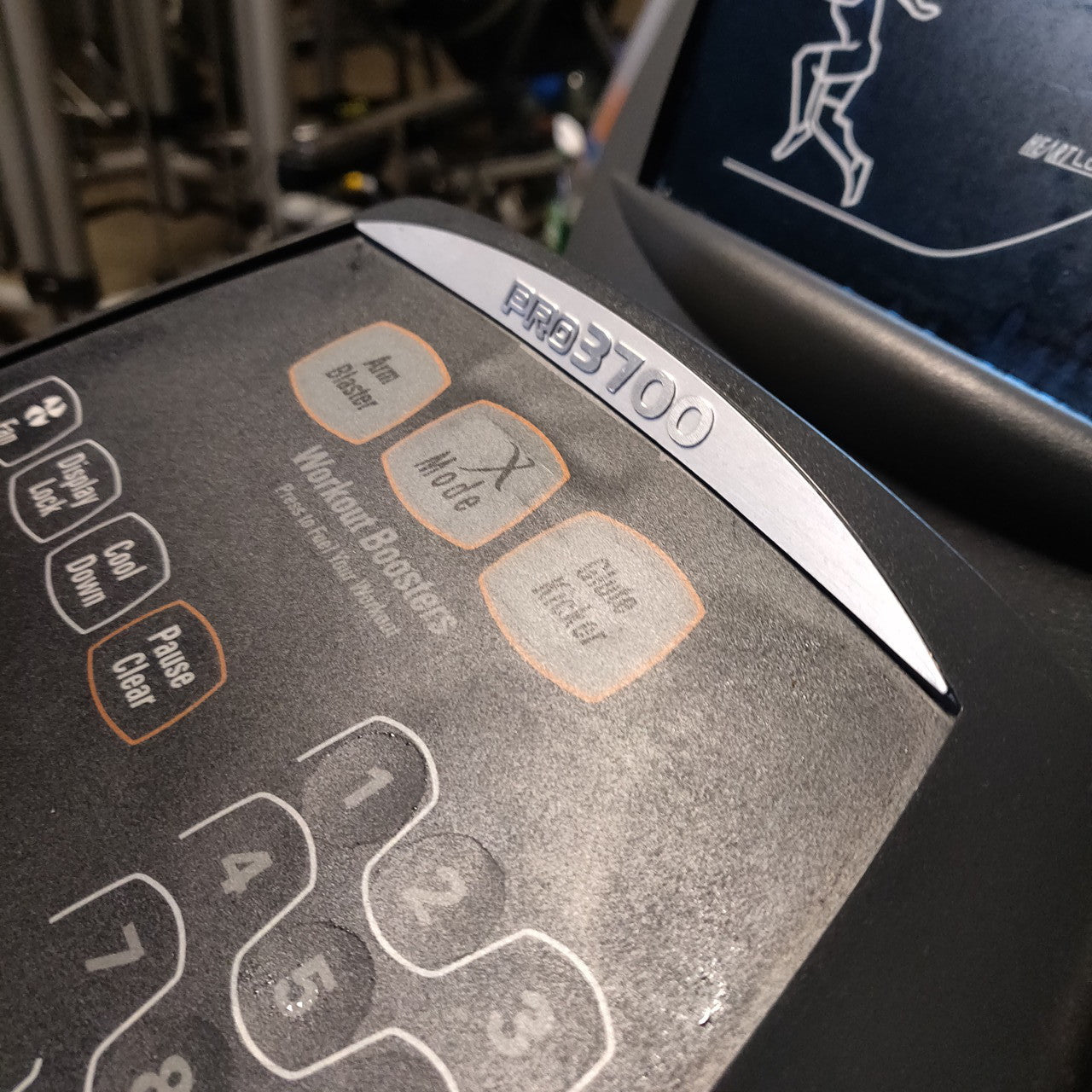 Octane Pro 3700 Elliptical